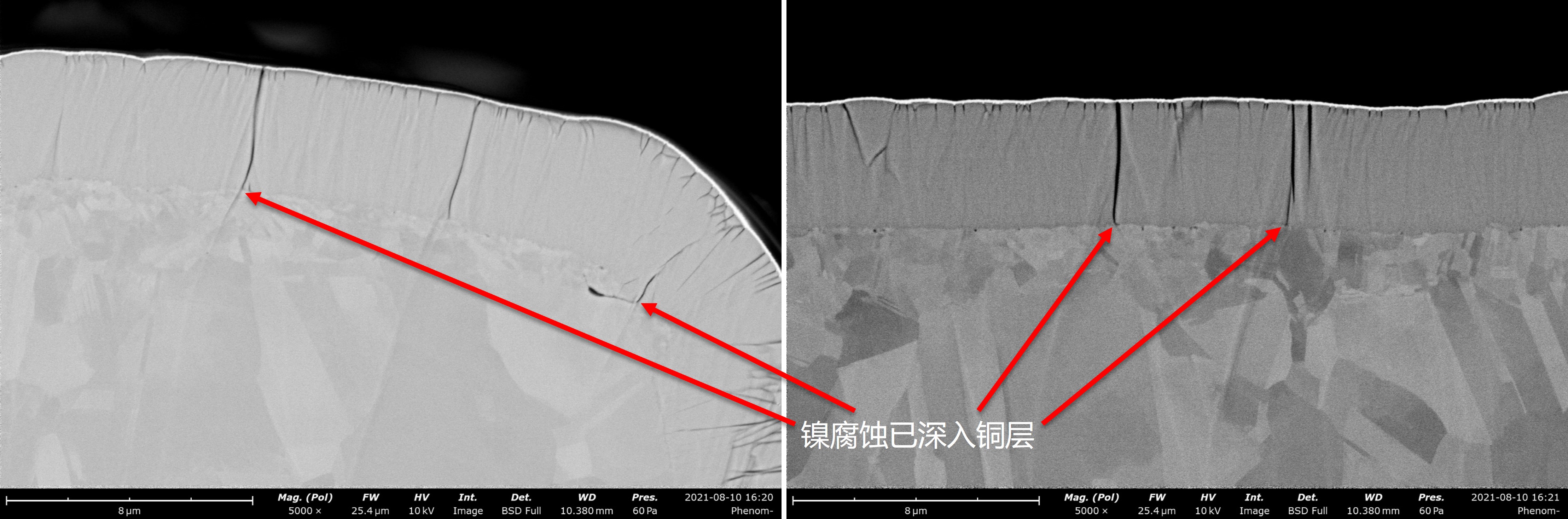 镍腐蚀已深入铜层.jpg