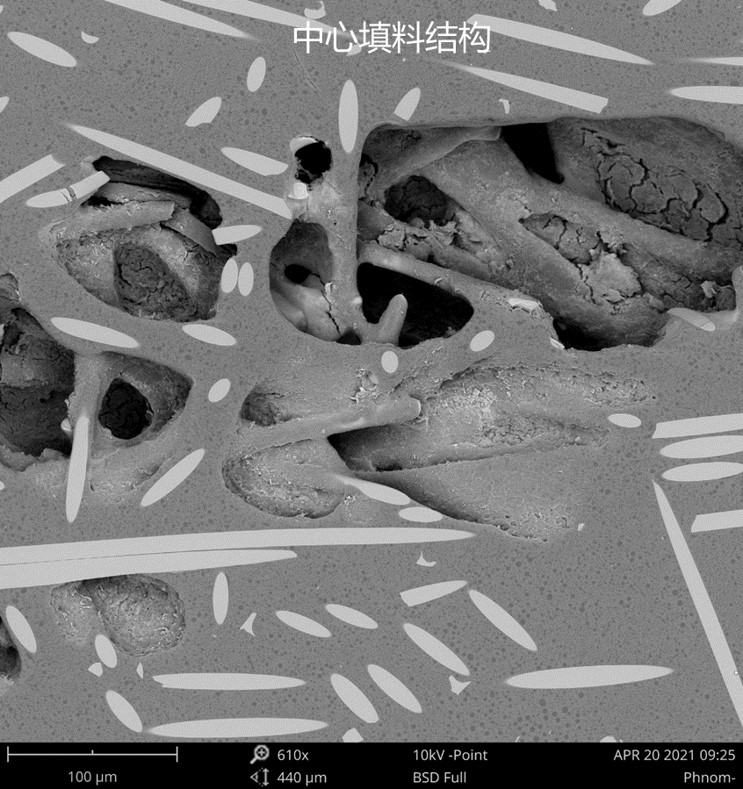 高分子中心填料结构.jpg