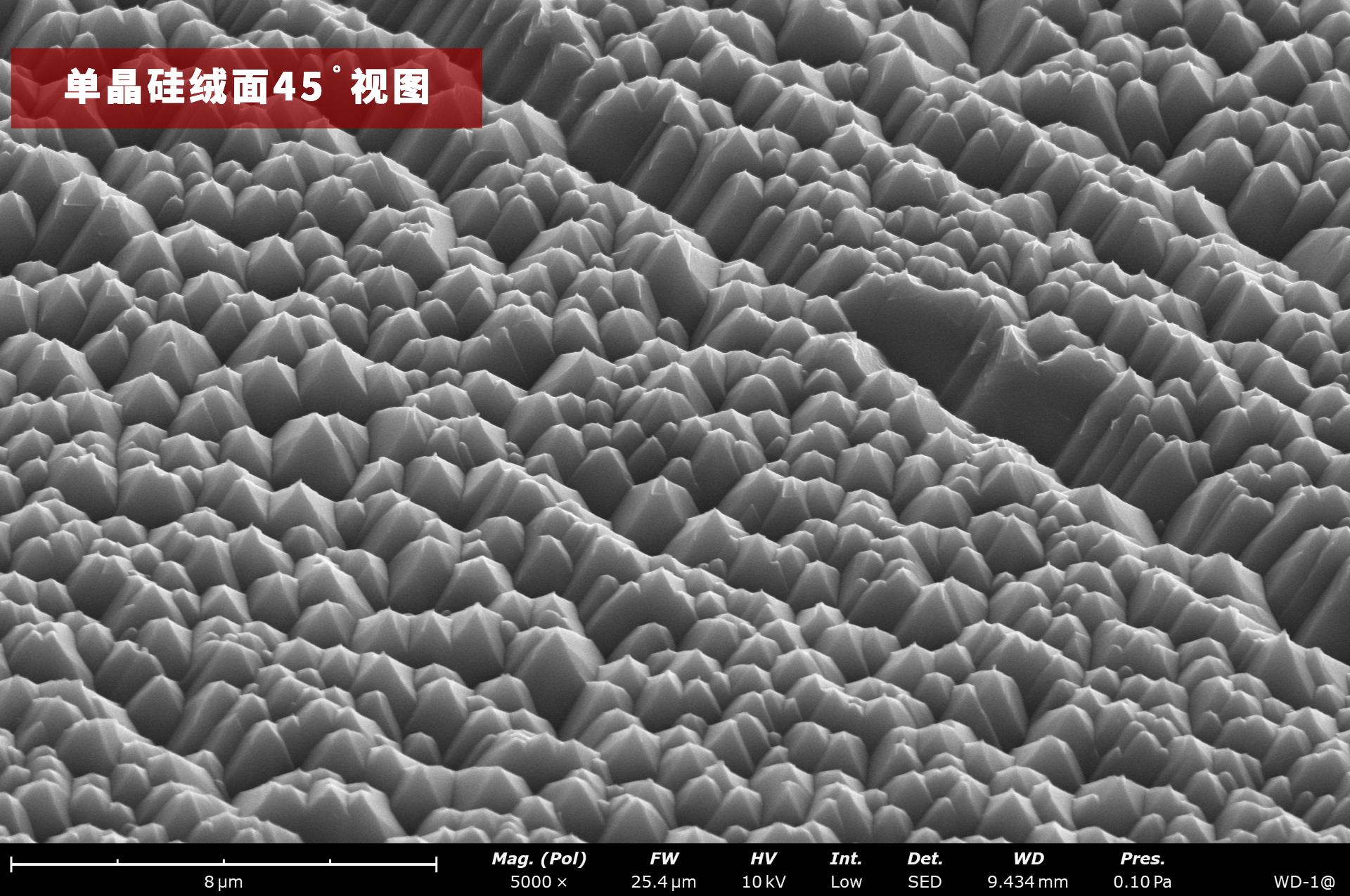 单晶硅绒面45˚视图.png