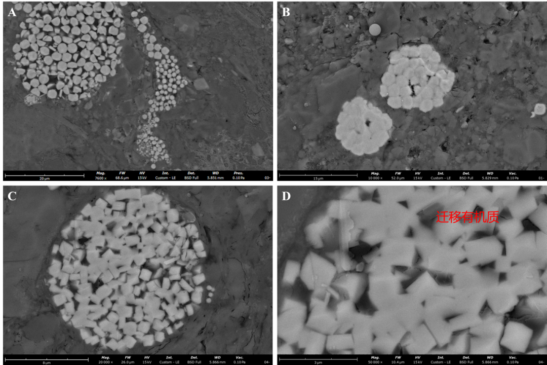 用离子研磨仪对样品进行氩离子抛光后使用台式扫描电镜观察到页岩中的不同黄铁矿晶体