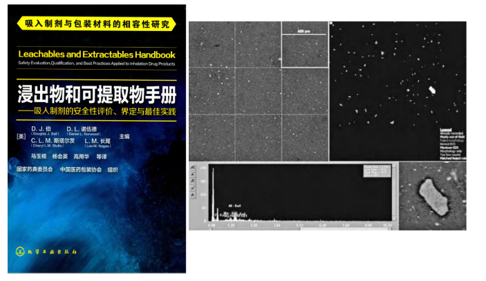 全自动颗粒检测系统进行  全自动颗粒识别、粒径测量和元素分析