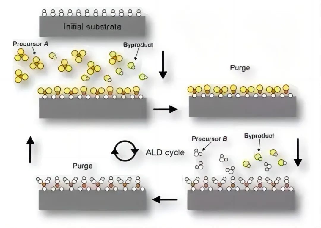   原子层沉积ALD 技术的反应原理示意图
